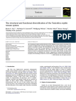 The Structural and Functional Diversific