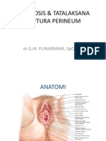 DR - Purnabawa - Diagnosis - Terapi Ruptur Perineum