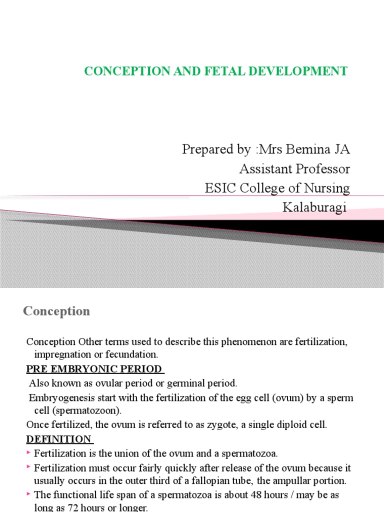 Conception and Fetal Development Guide | PDF | Placenta | Fetus
