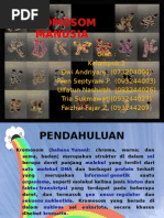 Download KROMOSOM MANUSIA by AnaiDram ARini SN56120018 doc pdf