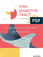 Fish Digestive Tract