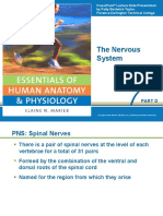 The Nervous System: Part D