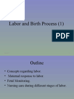 Lec Labor and Birth Process