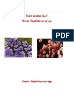 Gram Positive Cocci Genus: Staphylococcus SPP