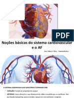 Sistema CirculatorioAula