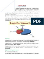 14, 15 & 16. Capital Structure