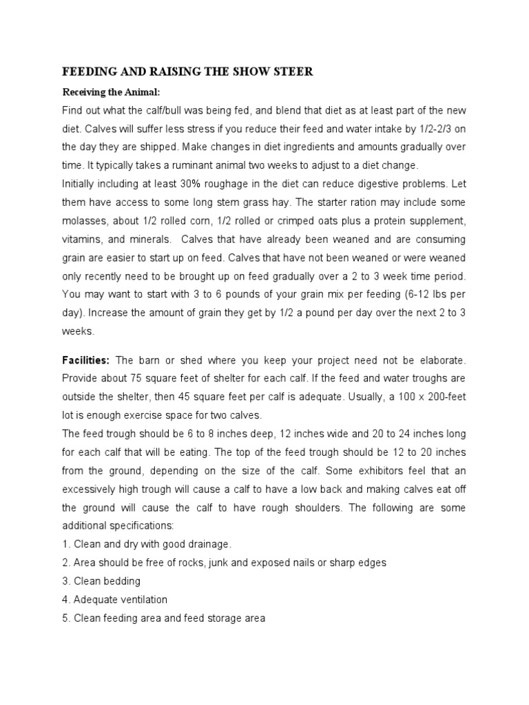 Feeding and Raising The Show Steer PDF Cattle Vitamin