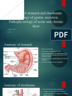 Anatomy of Stomach and Duodenum. Physiology of Gastric Secretion. Pathophysiology of Acute and Chronic Ulcer