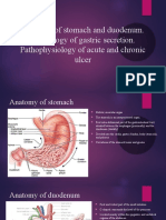 Anatomy of stomach and duodenum1