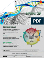 Materi Minggu 11, REPLIKASI DNA