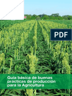 01 Guía Básica de Buenas Prácticas de Producción para La Agricultura
