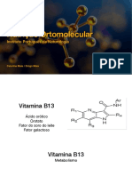 Nutrição Ortomolecular Vitaminas Hidrossolúveis 2.3