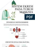 SISTEM EKSKRESI MANUSIA