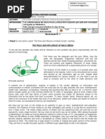 EXPERIENCIA DE APRENDIZAJE 1° Medio Ingles Marzo N°1