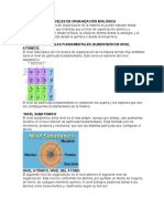 Niveles de Organización Biológica