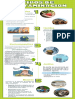 Infografía Tipos de Contaminación