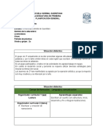 Formato para Realizar Una Situaciòn Didàctica Ejemplos