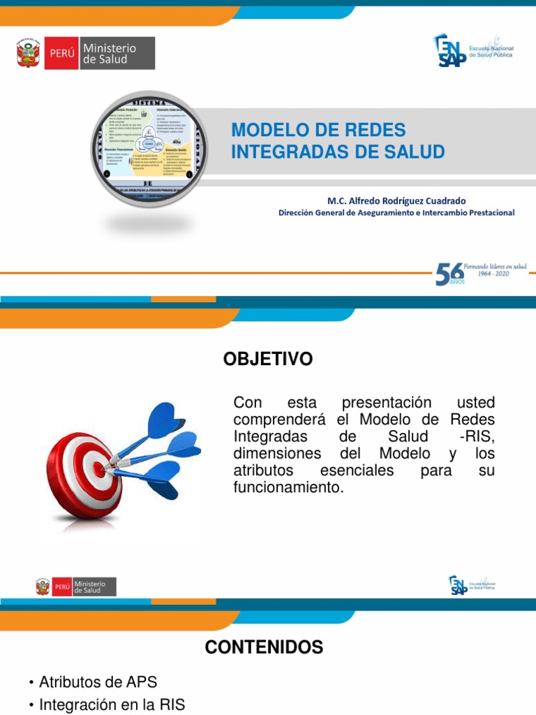 Modelo de Redes Integradas de Salud | PDF