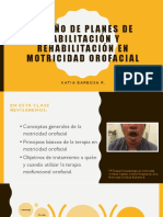 plan de intervencion en MOF