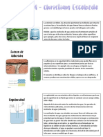 Caracteristicas Del Liquido