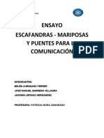 Ensayo Escafandra y Mariposas