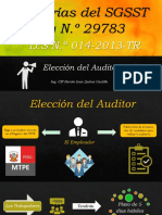 Elección Del Auditor