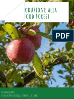 Food Forest Intro