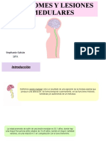 Lesiones Medulares