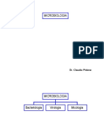 Virología general, virus y replicación