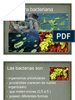 Teorico Estructura Bacteriana 2020