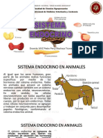 Sistema endocrino en animales