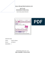 Format Laporan Praktikum Biologi (Mutasi) - 2