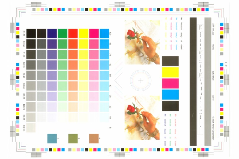 Xerox Color Test Sheet | PDF