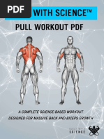 Pull Workout PDF Updated