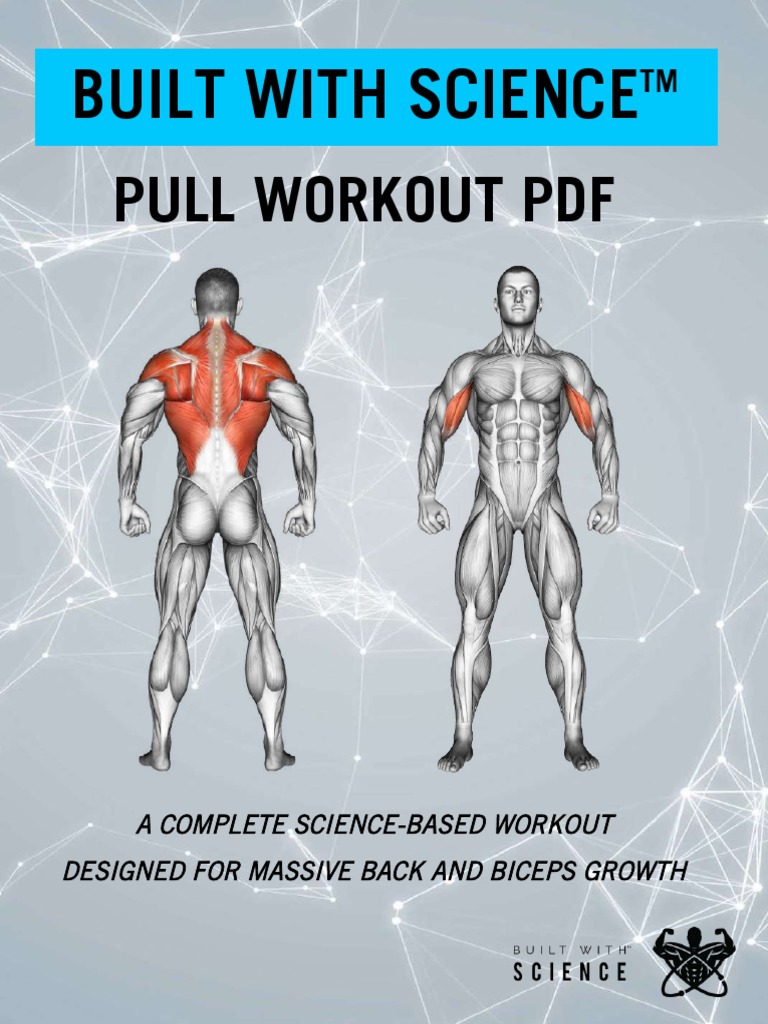 Pull Workout PDF Updated | PDF