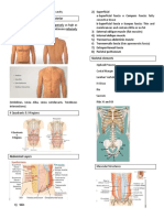 Repaso 1 Anatomy Andominal Wall 0 Cavity