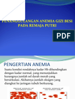 Penanggulangan_Anemia_Gizi_Besi_pada_Rematri_edit...