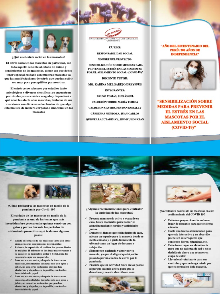Mascotas Triptico | PDF | Estrés (biología) | Mascota