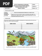 1 GUIA de CIENCIAS 2021 Niveles de Organizaciòn Externa de Los Seres Vivos