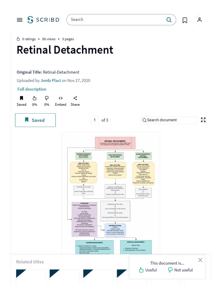 Retinal Detachment - PDF - Retina - Senses | PDF | Senses | Light