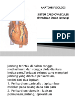 anatomi_fisiologi_1594868438