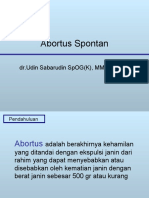 Abortus spontan