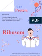 Kelompok 9 - Ribosom Dan Sitensis Protein