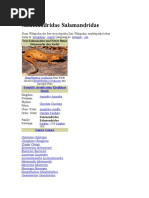 Download Salamandridae Salamandridae by Robin Longstride SN56134804 doc pdf