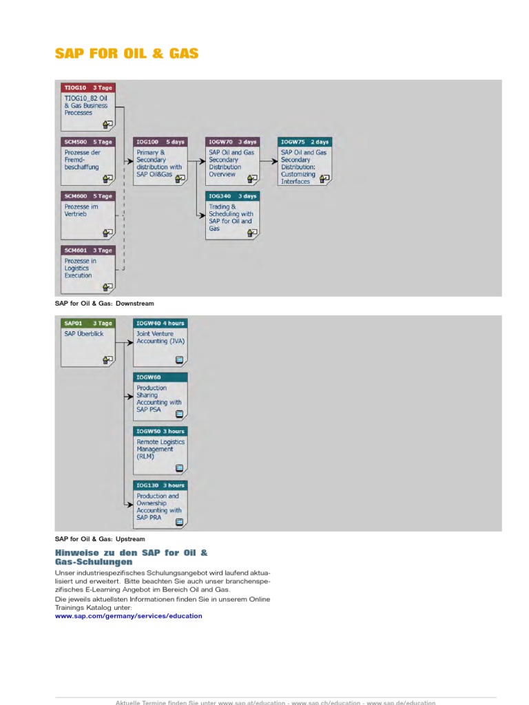 011000358700001390942009D sap oil and gas contents | Business Process ...