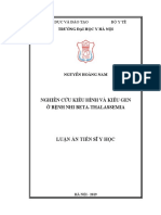 Nghiên Cứu Kiểu Hình Và Kiểu Gen ở Bệnh Nhi Beta-thalassemia