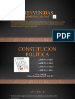 Constitución política