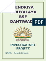 Kendriya Vidhyalaya BSF Dantiwada: Investigatory Project