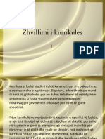 1 Zhvillimi I Kurrikules 02.12. 20