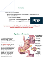 Lezione 9 - Metabolismo delle proteine  -  Modalità compatibilità  -  Ripristinato